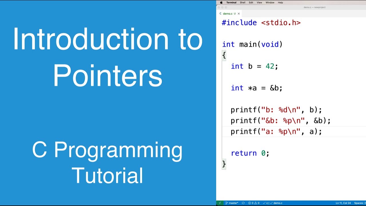 Master Pointers in C Programming: A Complete Beginner's Guide 🖥️