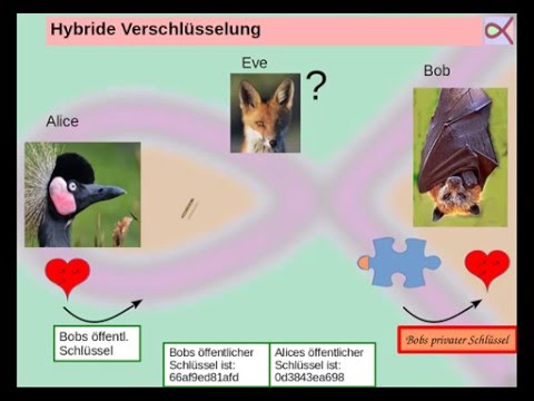 Symmetrische, asymmetrische und hybride Verschlüsselung