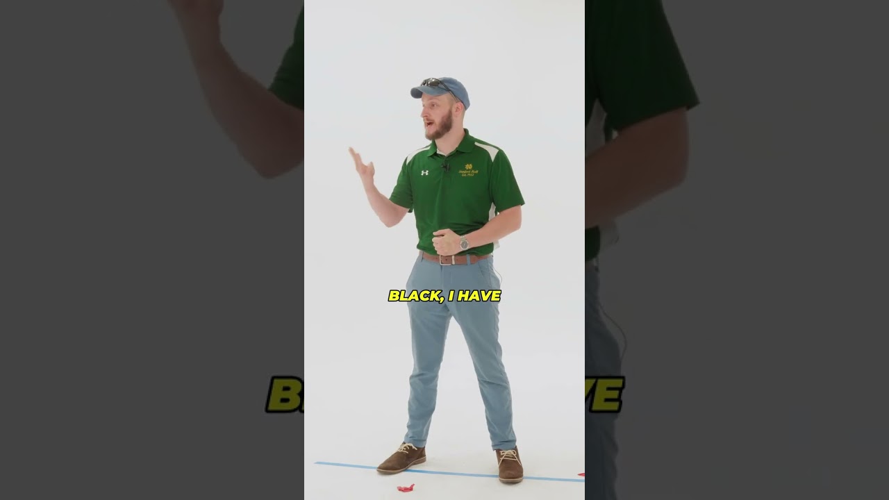 Exploring Black Culture and Influencers ✨