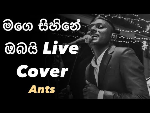 Mage Sihine Obai Live Cover by Ants Band 🎶