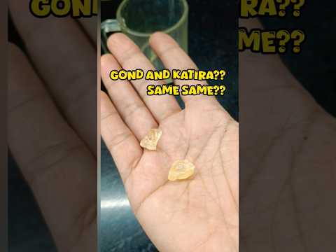 Don’t Mix Them Up – Gond vs Katira! #shortsfeed