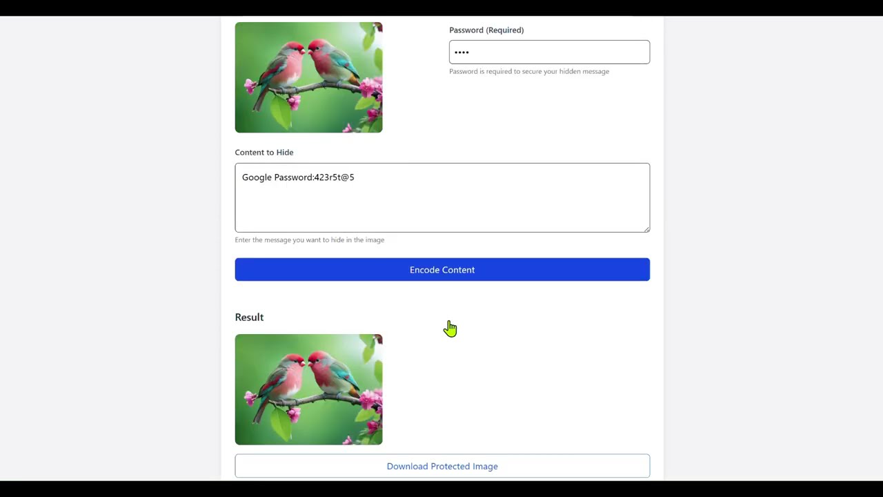 Secure Your Secrets with Stega-Shield: Hide Messages in Images Easily π