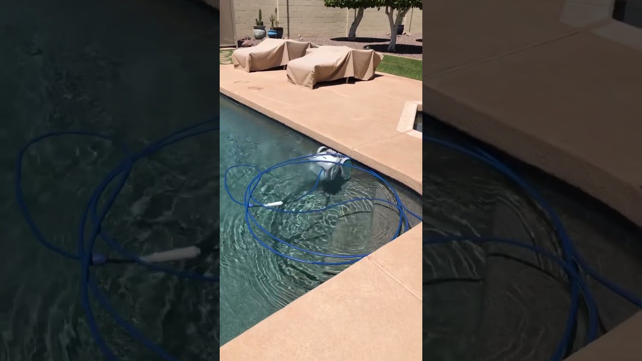 Dolphin M600 Robotic Pool Cleaner 🤖