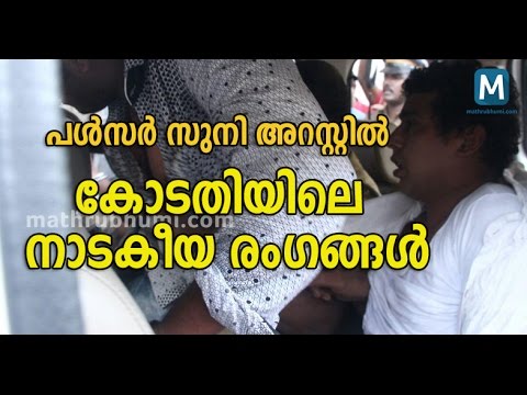 Pulsar Suni Detained by Authorities