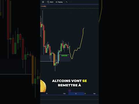 #crypto le scénario pour 2024 ! #bitcoin #btc #cryptomonnaie #trading #investissement #altcoins