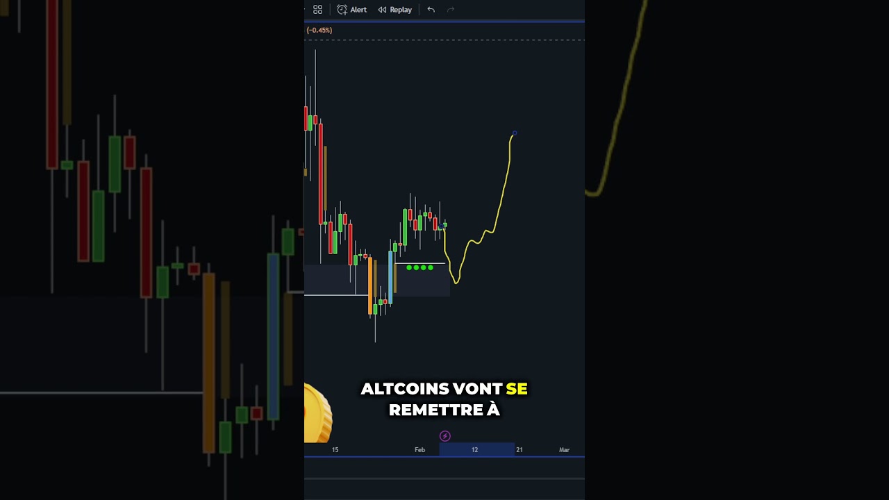 🚀 Préparez-vous pour le Bull Run 2024 : Guide Gratuit pour Investir et Trader en Crypto !