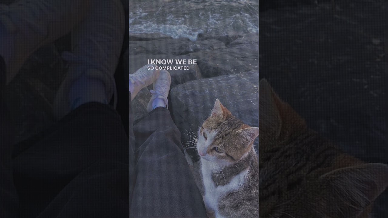 Ariana Grande & Social House - Boyfriend 🎶