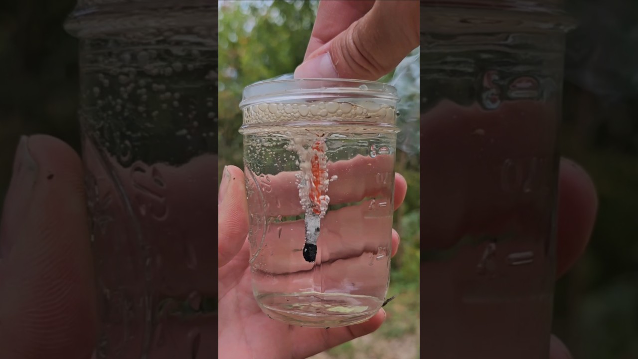 Stormproof Matches 🔥 – Reliable Fire Starter for Any Weather