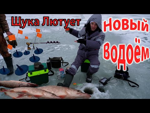 Клев Щуки на Жерлицы Зимой на Бесплатном Пруду открытие сезона #рыбалка #рыбалка2025