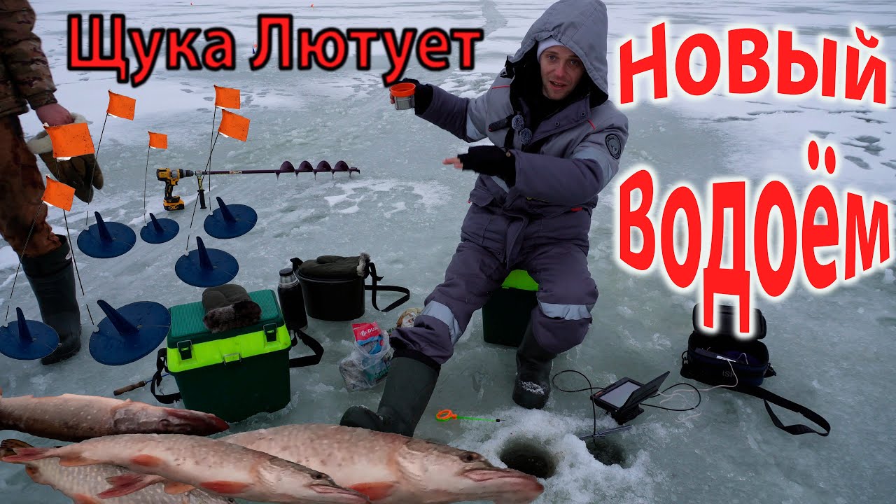 Зимняя рыбалка на щуку и плотву на пруду Чепурка ❄️ — Открытие сезона 2025