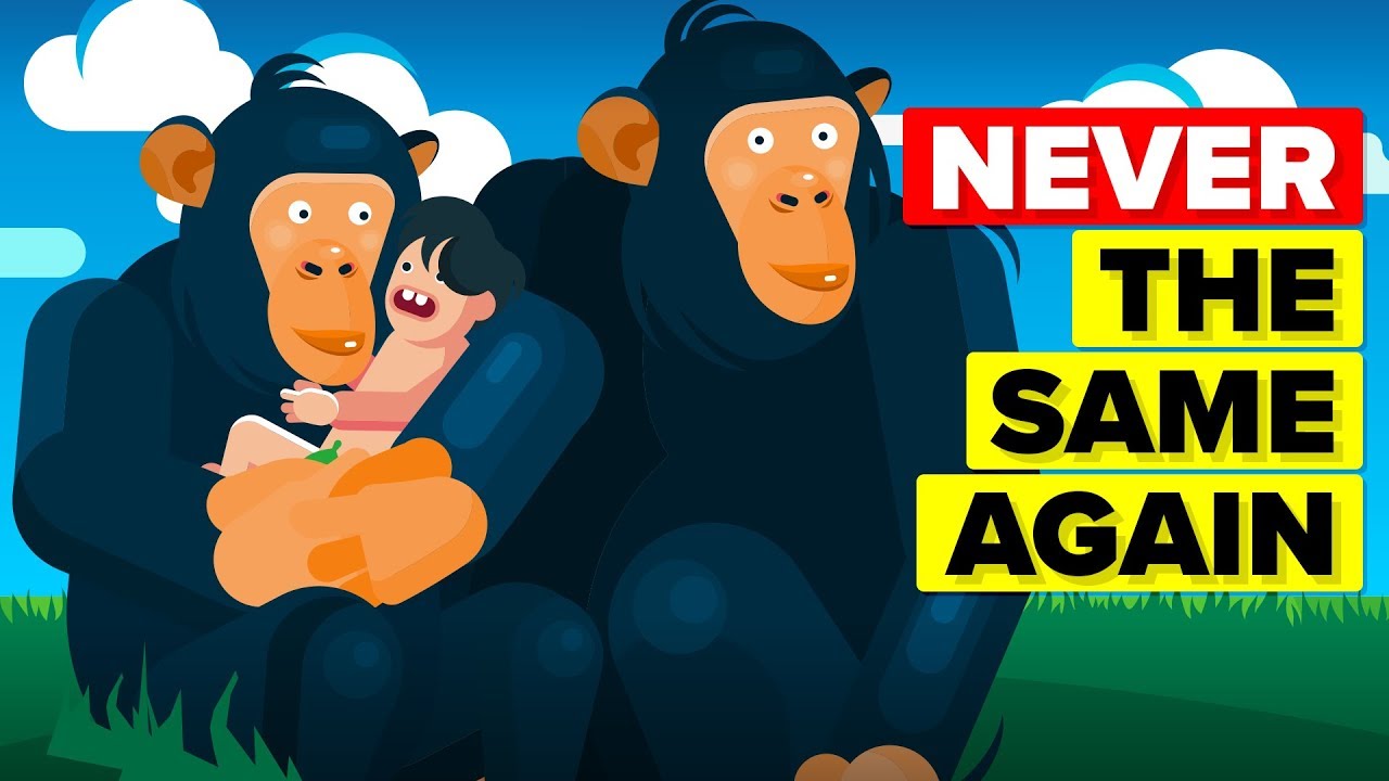 Key Events in Earth's History 🌍