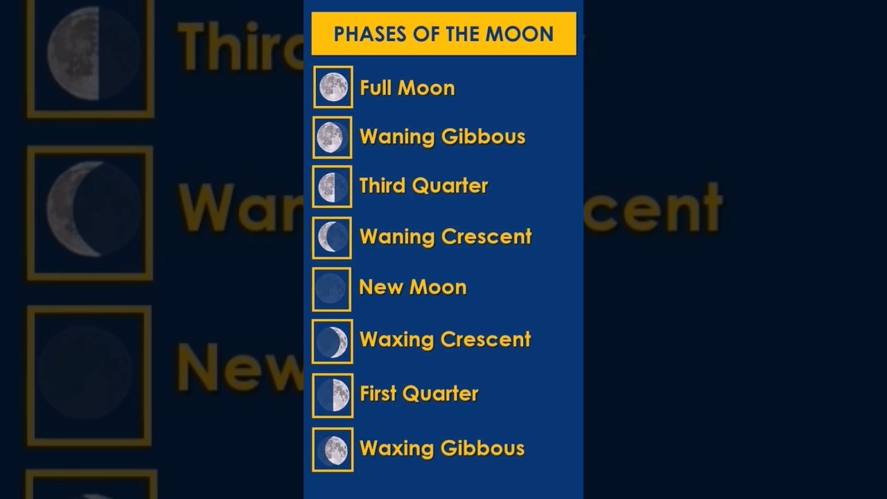 Understanding the Moon's 8 Phases 🌙