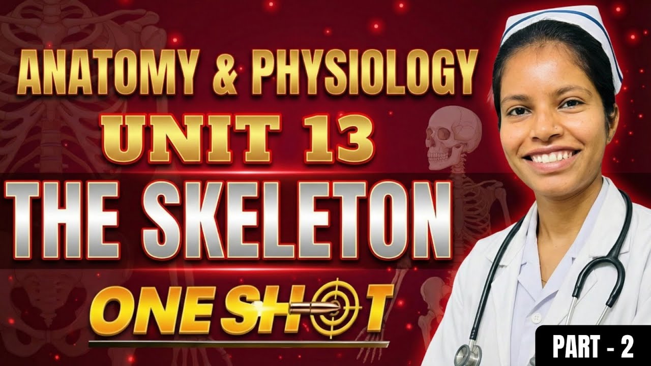 The Skeleton System One Shot | Unit 13 | Most Imp Questions | GNM 1st Year | Anatomy and Physiology