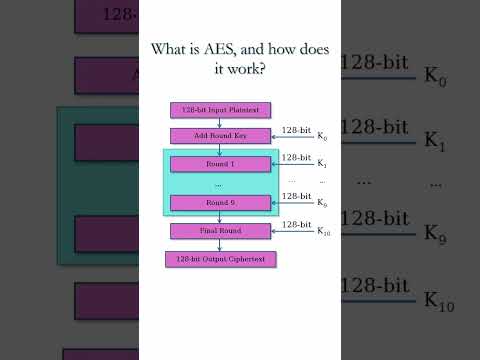 Cryptography And Network Security Course by The Security Buddy #shorts #thesecuritybuddy