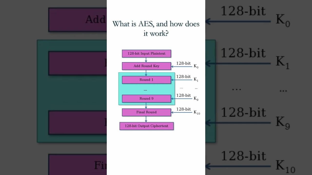 Master Cryptography & Network Security with The Security Buddy 🔐