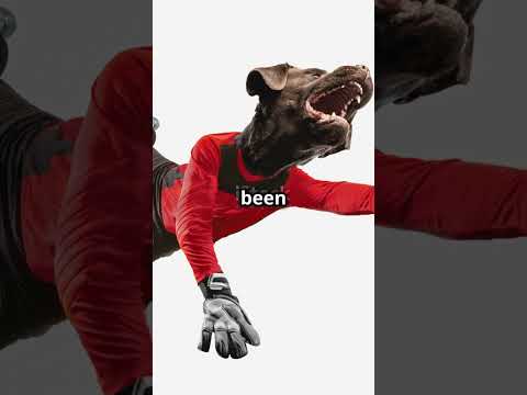 Washington Commanders vs. Cincinnati Bengals: Key NFL Player Stats & Highlights!