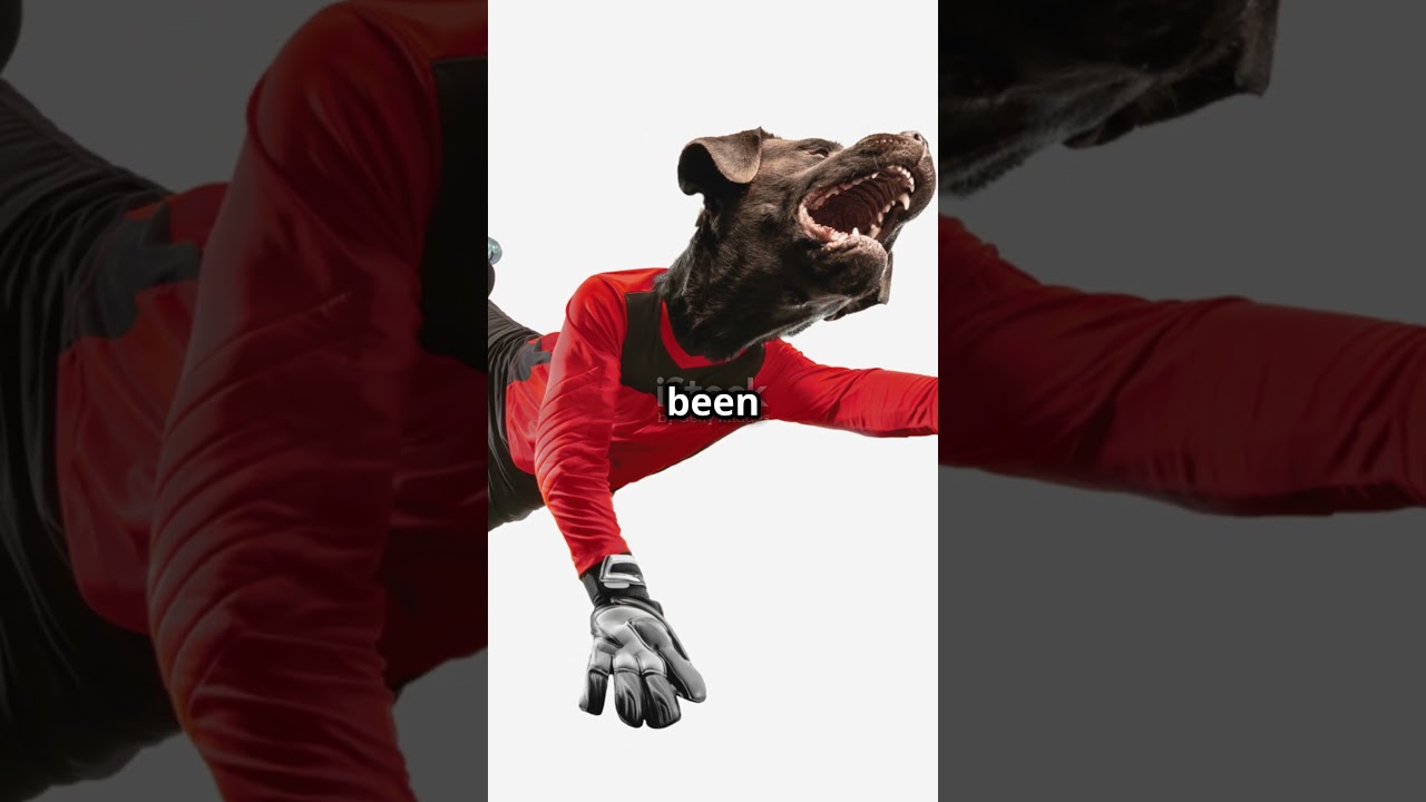 Washington Commanders vs. Cincinnati Bengals: Must-Know Player Stats & Highlights 🏈