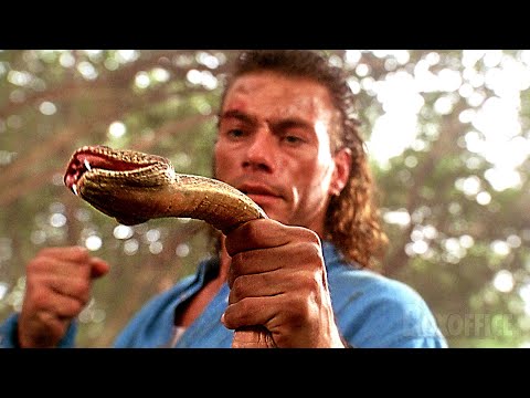 Jean-Claude Van Damme met une patate à un serpent | Chasse à l'homme | Extrait VF