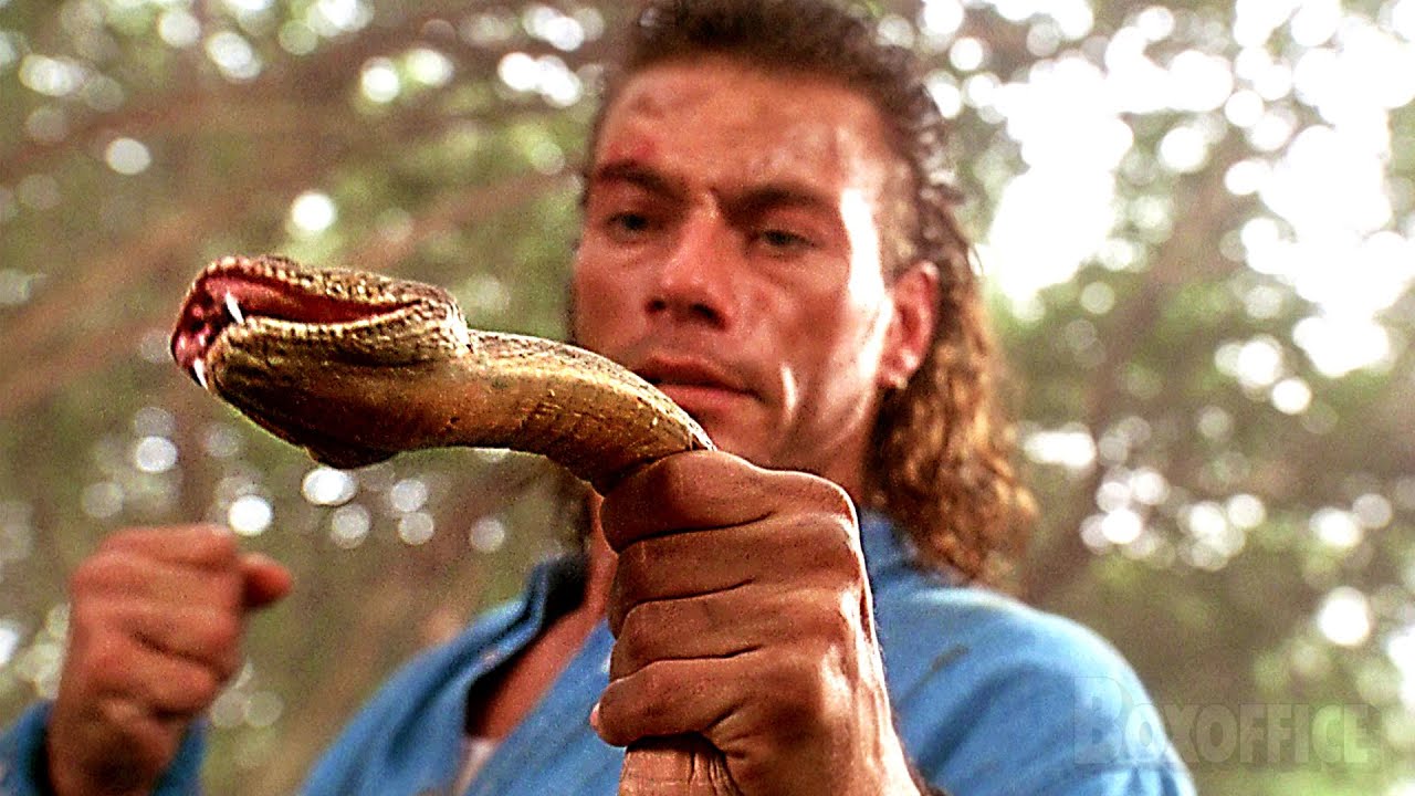 Jean-Claude Van Damme Fight: Knocks Out a Snake! 🐍💥