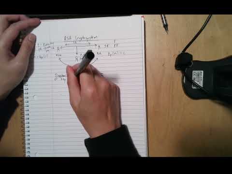 Asymmetric Cryptography: RSA Operations and Mathematics