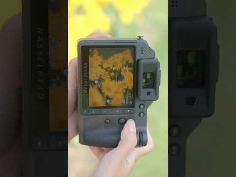 100MP Golden Moments with HNCS | Hasselblad X2D II 100C