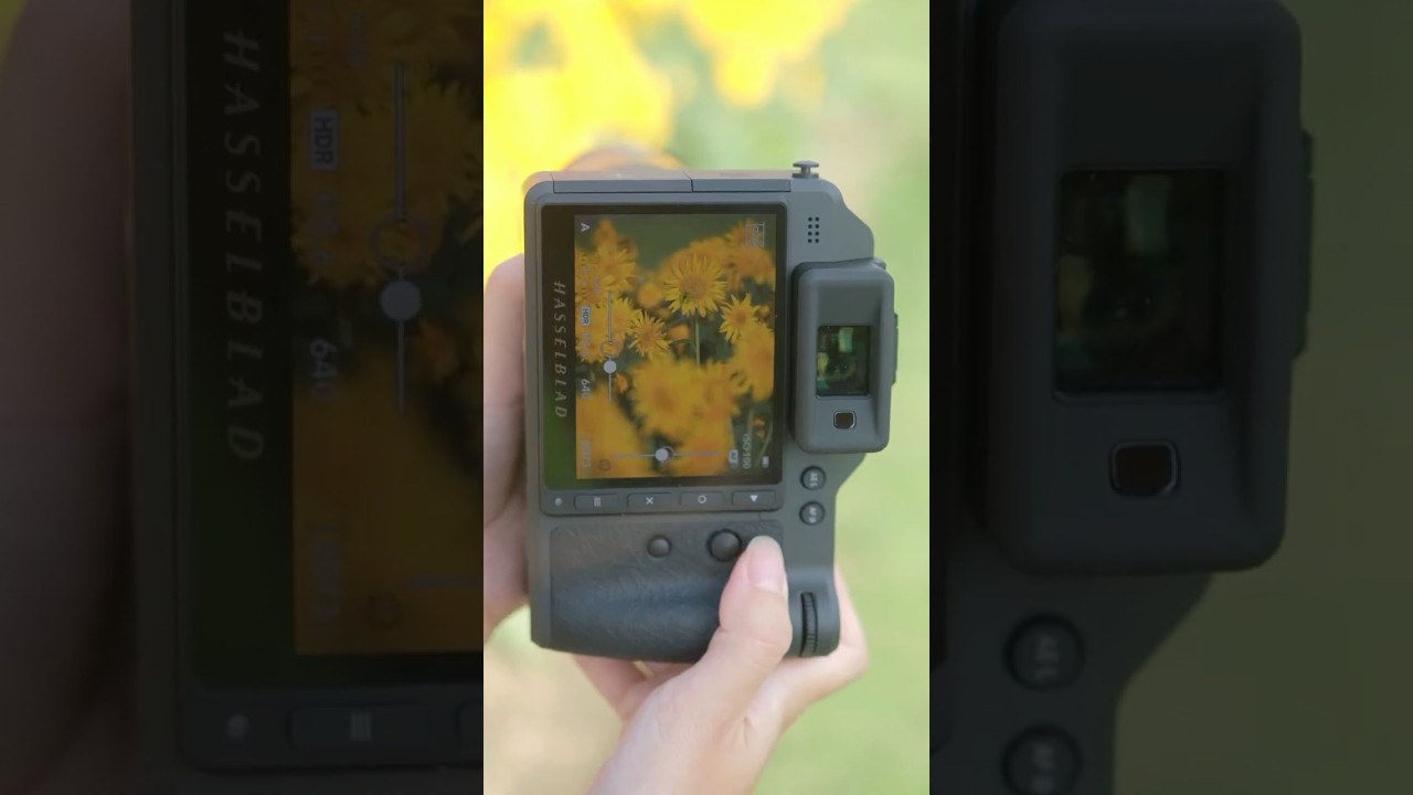 Capture Golden Moments with Hasselblad X2D II 100C 📸