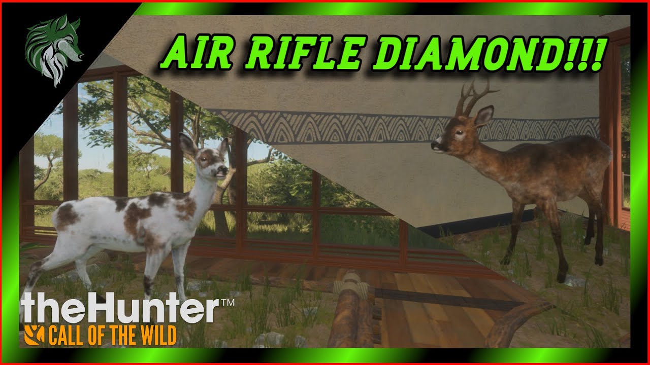 Diamond & Piebald Roe Deer with Air Rifle 🎯