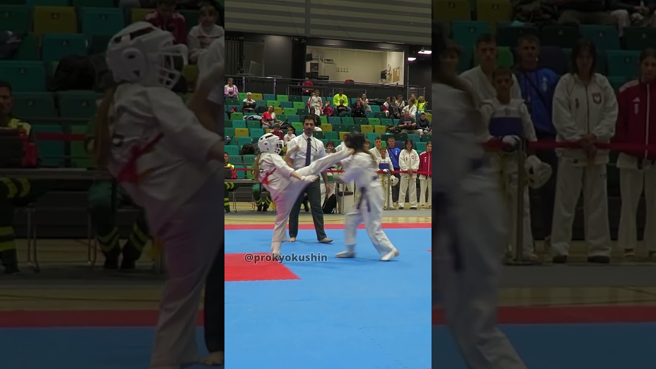 Kyokushin Nordic Cup in Finland - Sep 27, 2025