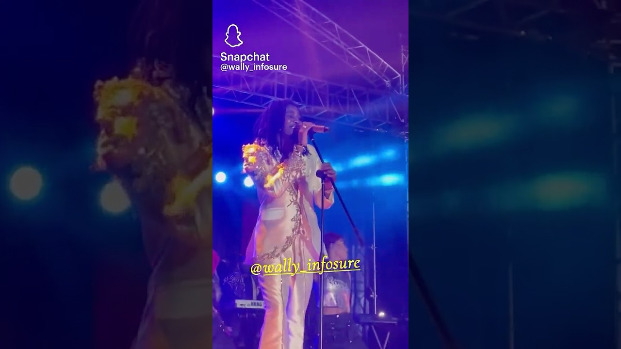 Wally B. Seck's Amazing Performance 🎶