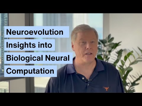 How Neuroevolution Reveals the Origins of Neural Circuit Design