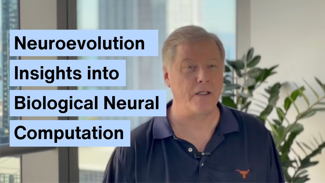 Unlocking Nature's Blueprint: How Neuroevolution Unravels Neural Circuit Design 🧠
