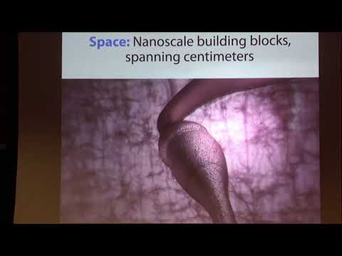 Towards a Computational Model of the Brain: Tools for Mapping and... - Ed Boyden