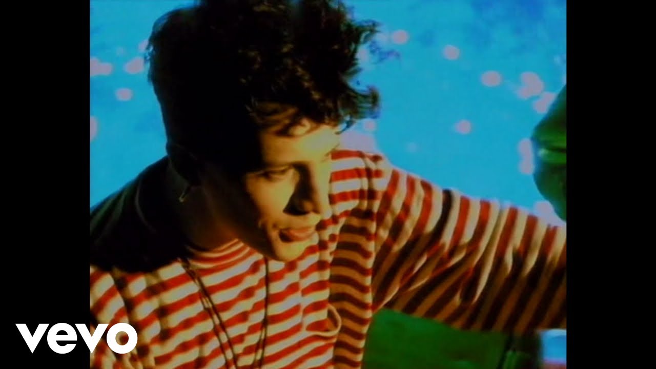 Indochine - Des Fleurs pour Salinger 🎶