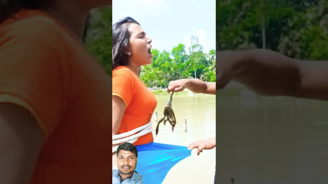 😂 Hilarious New Comedy Video 2025 | Episode 236 by Busy Fun Ltd