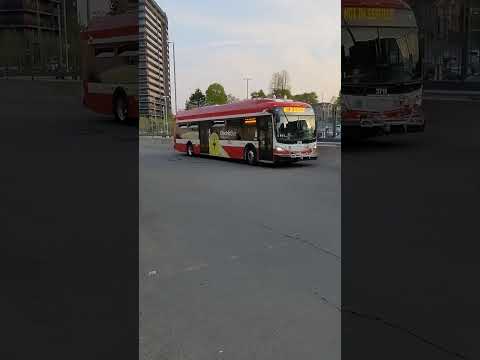 TTC New Flyer XE40 Xcelsior CHARGE #3711 Birchmount Division