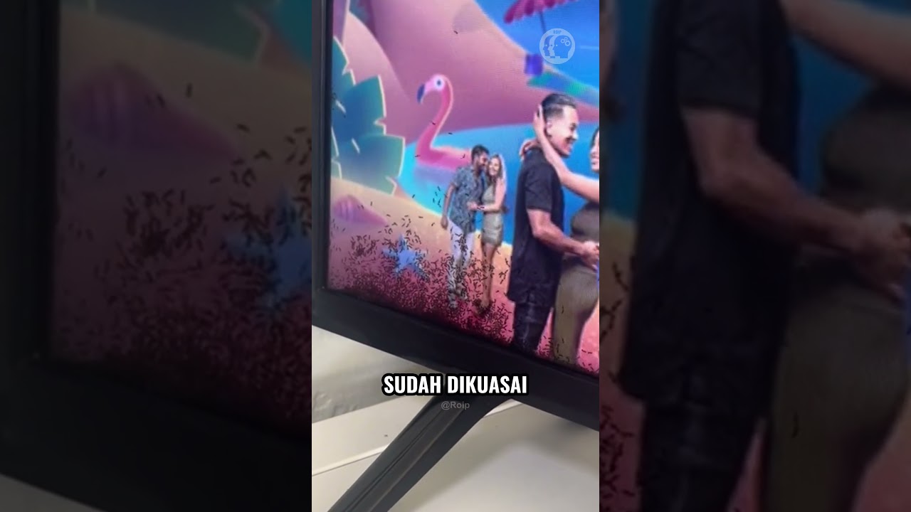Ini  Alasan Jangan Nyalakan TV 24 Jam!