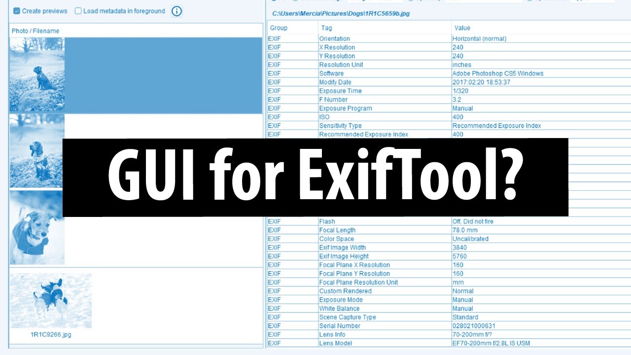 Jexiftool GUI for Managing ExifTool Metadata