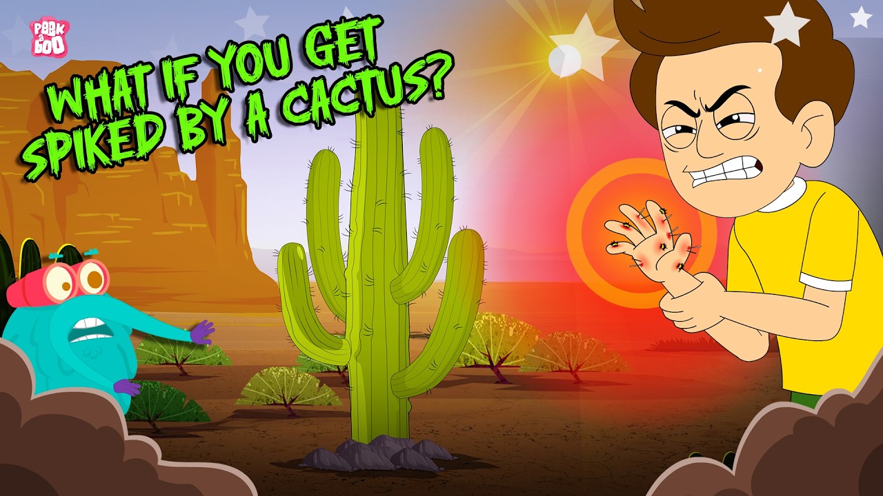 How To Remove Cactus Spines?🌵 | What if You Get Pricked By Cactus? | Desert Plants | Dr. Binocs