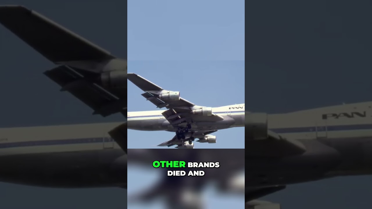 Pan Am's Iconic Return: Aviation Legend Resurges ✈️