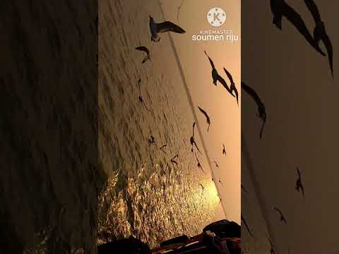 ANSHUL GARG presents A DESI MOVIES FACTORY PRODUCTION“EK DEEWANE KI DEEWANIYAT”💕💕