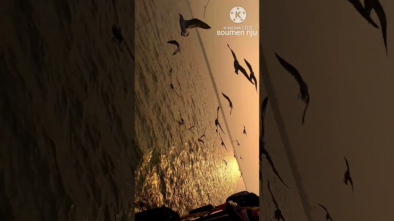 Watch 'Ek Deewane Ki Deewaniyat' – A Romantic Desi Movie by Anshul Garg 💖