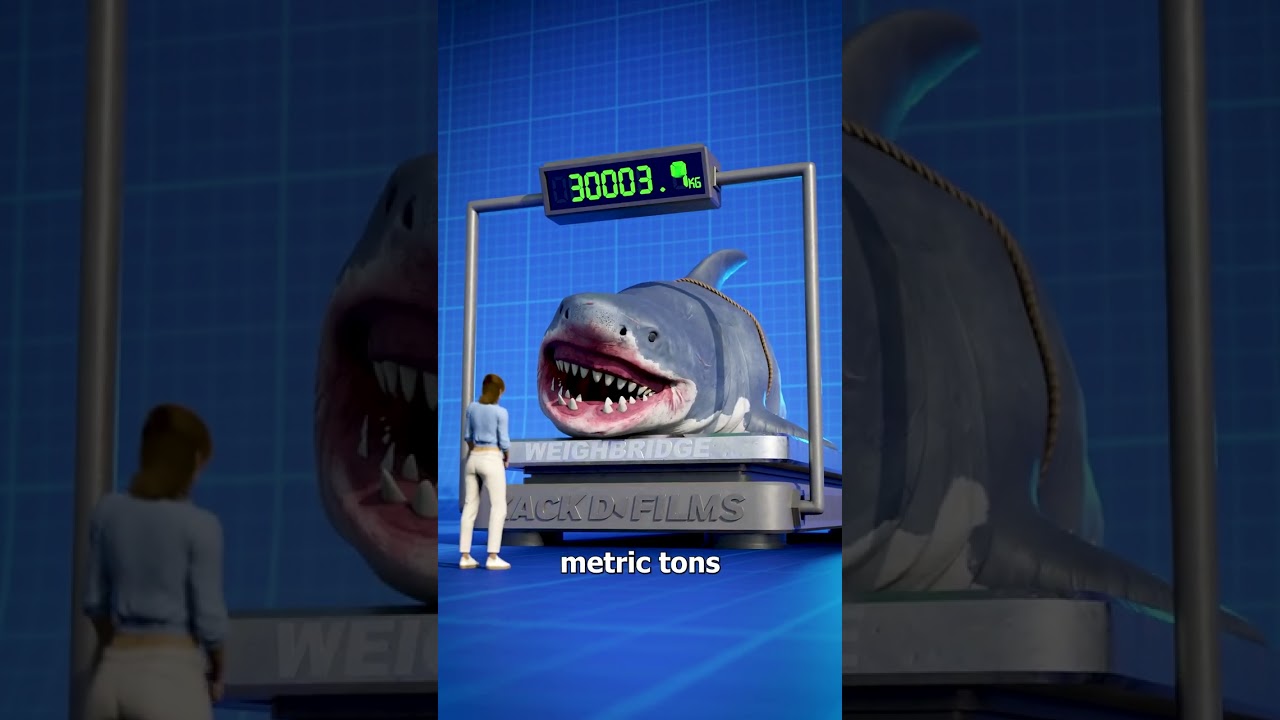 Megalodon Size Comparison: Understanding the Scale of the Ancient Predator