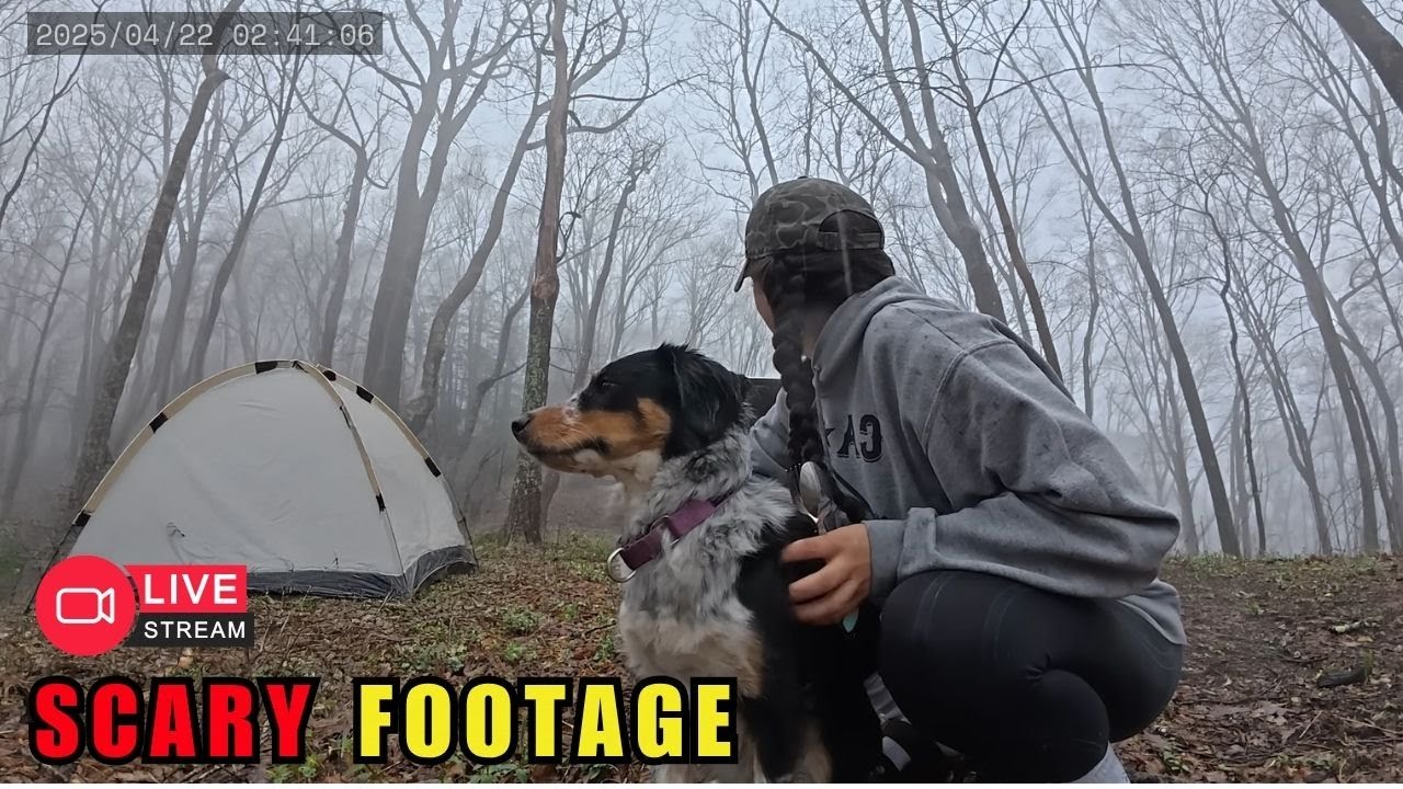 3 Hours of Disturbing Camping Encounters 😱