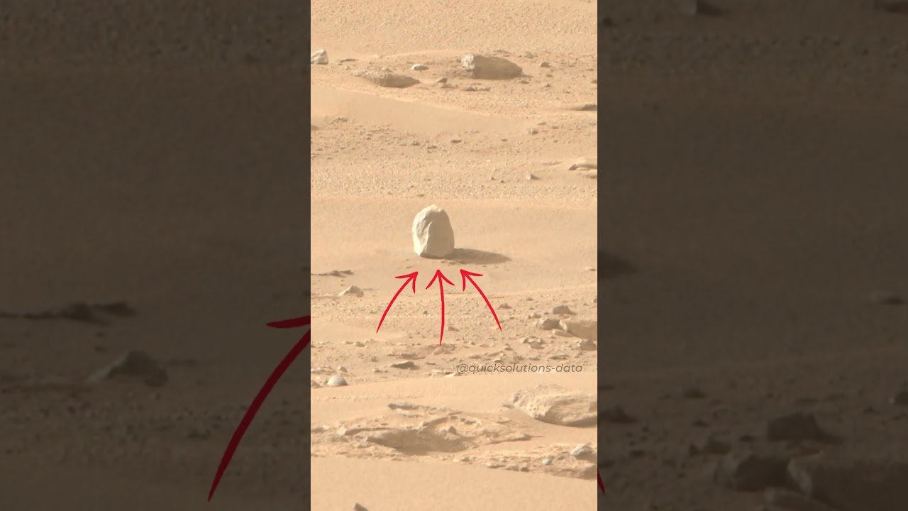 Mars Rover Perseverance Sol 1239 Snapshot ๐ธ