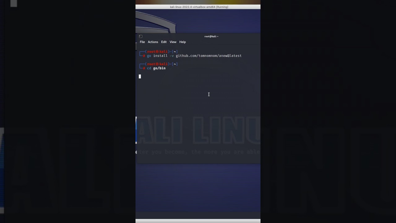 Install Anew on Kali Linux 🚀