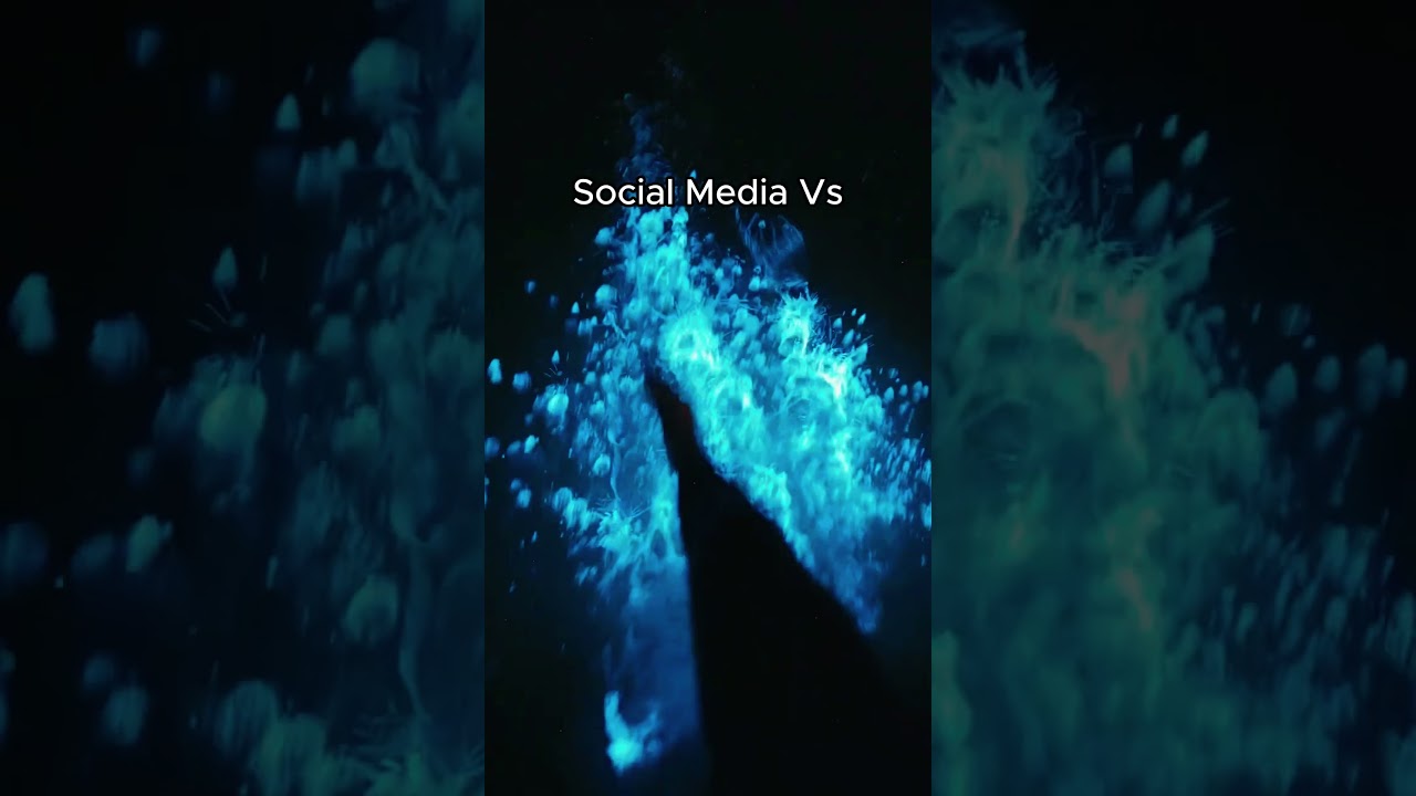 Discover the Magic of Bioluminescent Beaches ✨