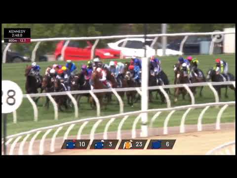 Lexus Melbourne Cup 2019