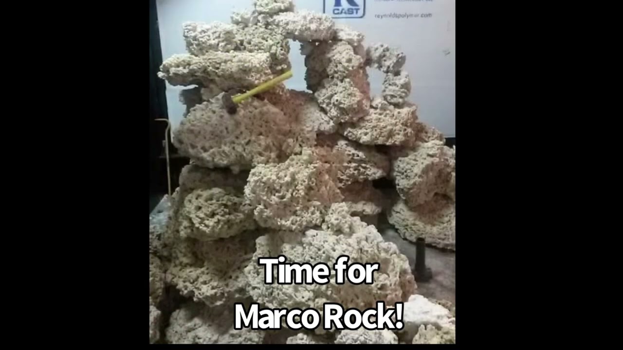 The build out of the 17,000 gallon tank