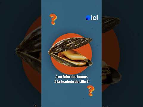 On vous raconte l'histoire de la Braderie de Lille !