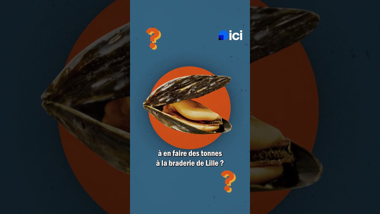 Découvrez l'histoire fascinante de la Braderie de Lille et ses délices 🍟